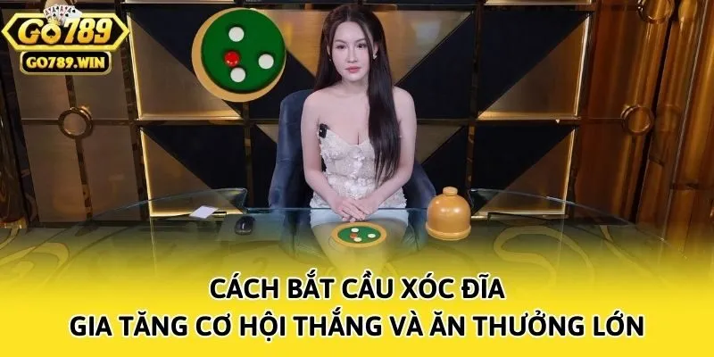 Cách Bắt Cầu Xóc Đĩa Gia Tăng Cơ Hội Thắng Và Ăn Thưởng Lớn