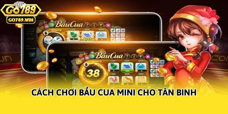 Cách chơi bầu cua mini cho tân binh
