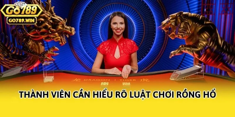 Thành viên cần hiểu rõ luật chơi rồng hổ