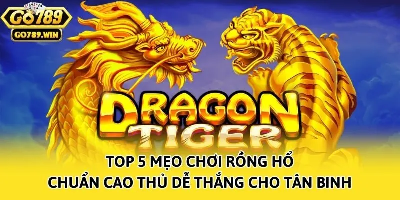 Top 5 Mẹo Chơi Rồng Hổ Chuẩn Cao Thủ Dễ Thắng Cho Tân Binh